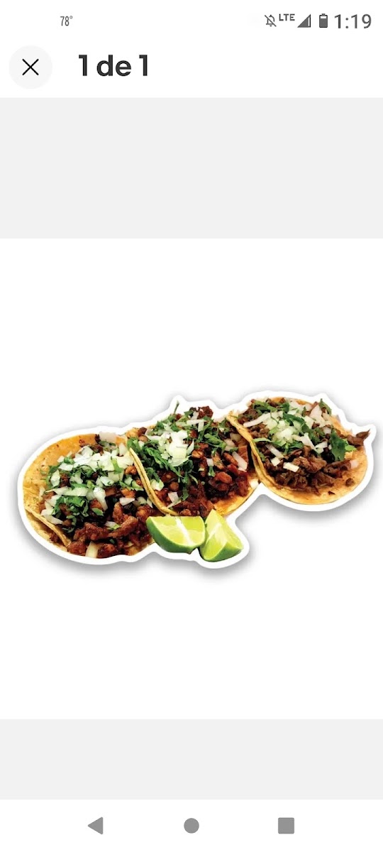 Mexican Street Tacos Photo 8